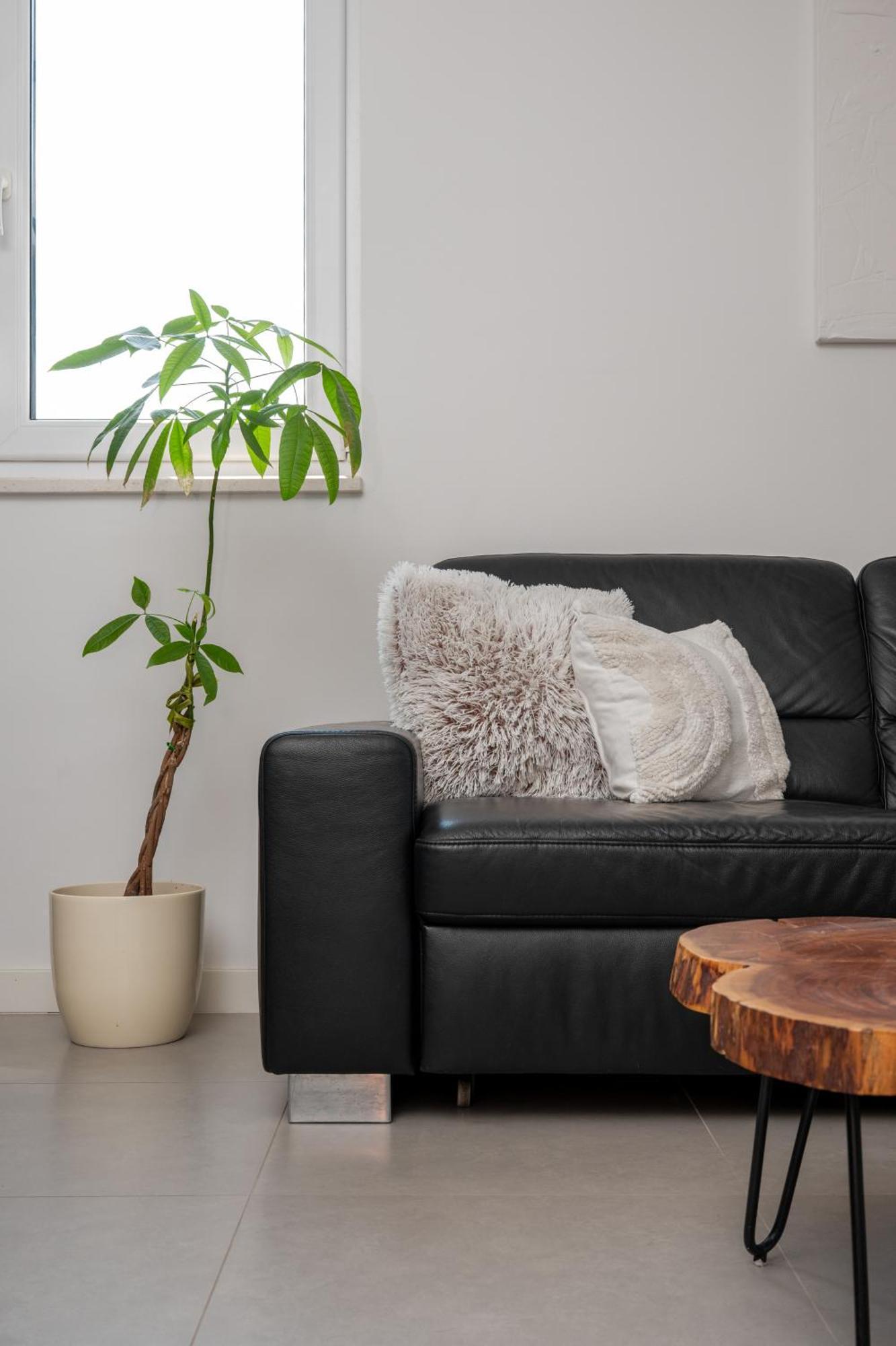 Moya Appartement